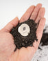 TreePlanting Kit Wild Pear Tree